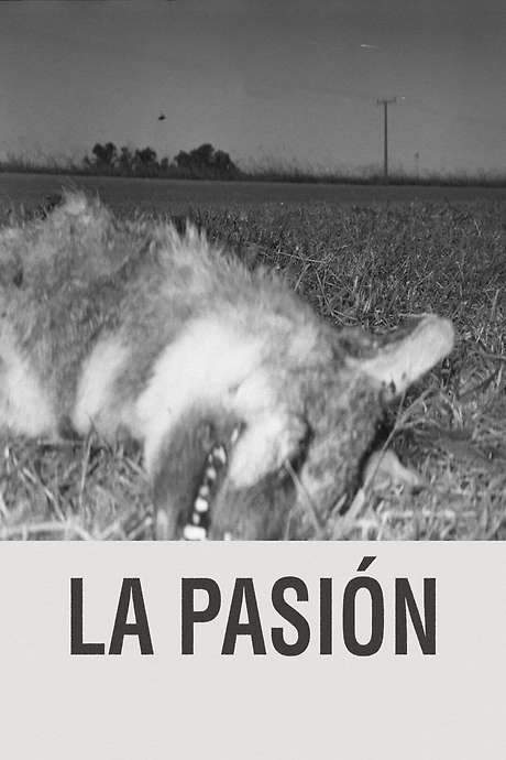 The Passion